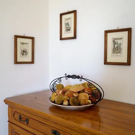 Il Portoncino Apartament *